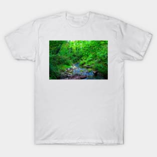 Scenery in Sarnano near Pozze dell'Acquasanta with waters, rocks, musk, greenery, trees, crowns T-Shirt